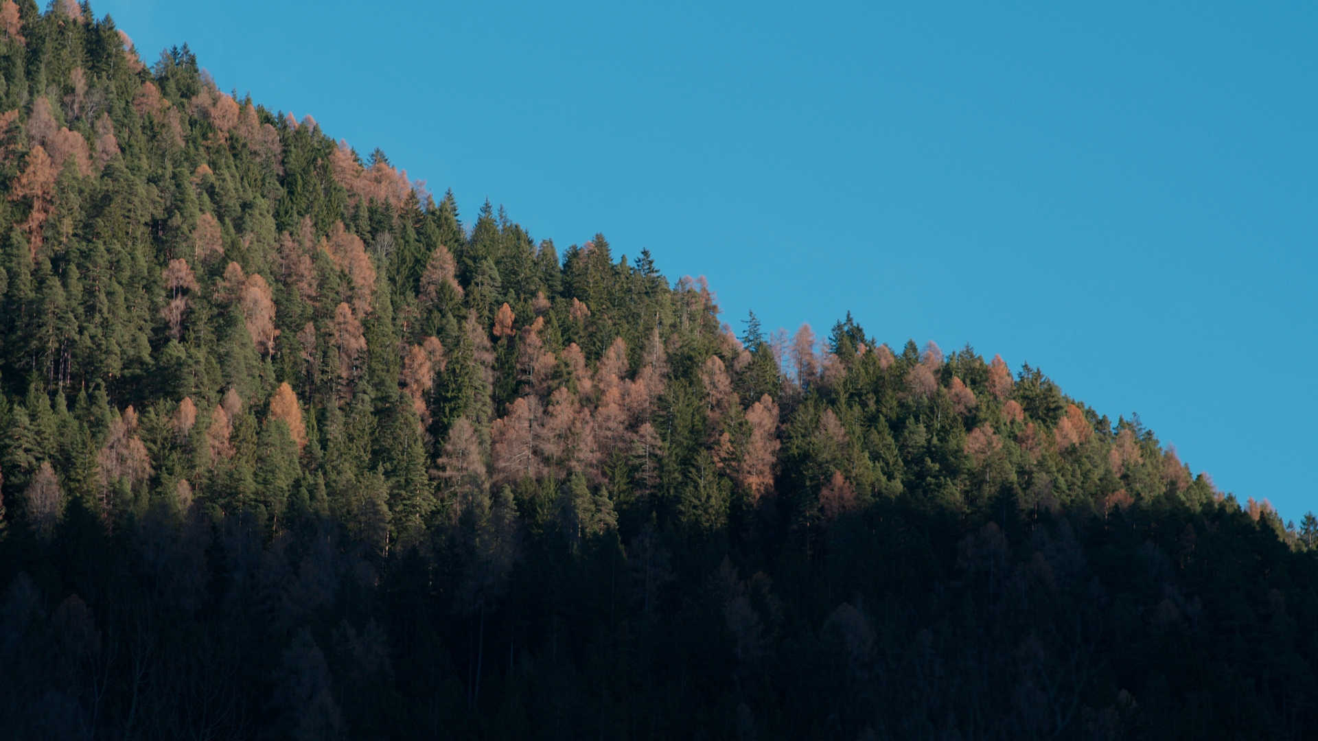 Fattore Territorio — immagine