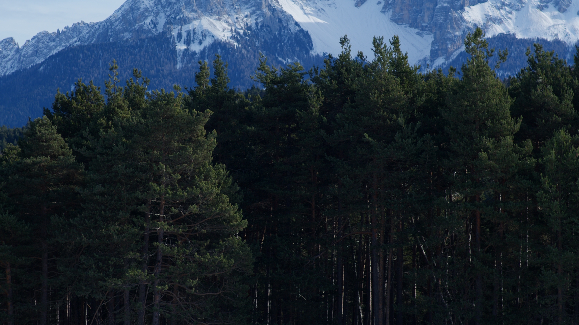 Fattore Territorio — immagine