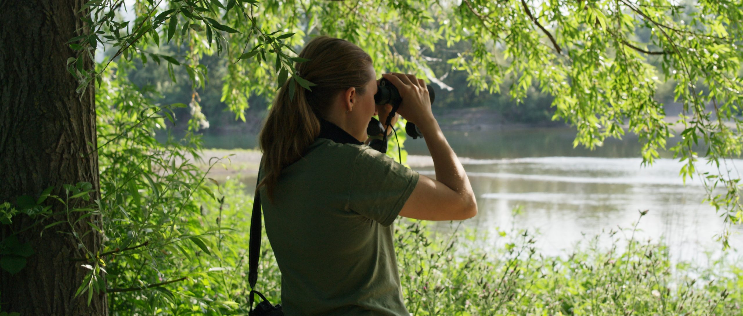 Territorio — immagine