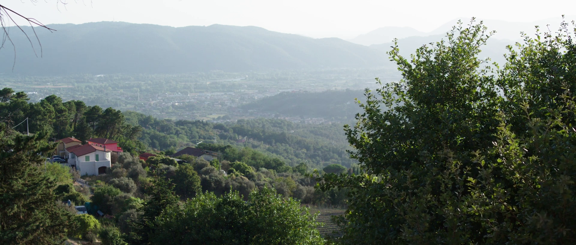 Fattore Territorio — immagine